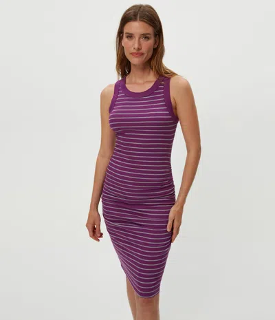 Michael Stars Demi Striped Ribbed Dress