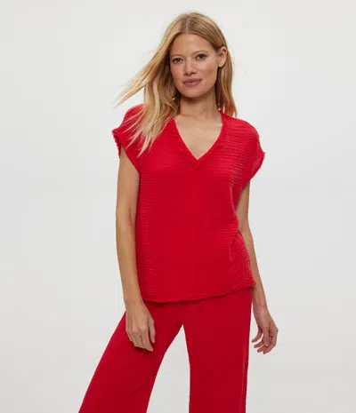 Michael Stars Draya Gauze V-neck Top