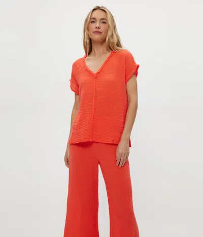 Michael Stars Draya Gauze V-neck Top