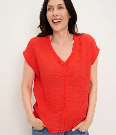 Michael Stars Draya Gauze V-neck Top In Pink