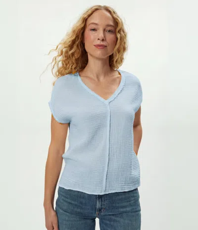 Michael Stars Draya Gauze V-neck Top In Pink