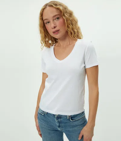 Michael Stars Dylan V-neck Tee In Pink