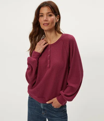 Michael Stars Eira Henley Brushed Waffle Top In Burgundy