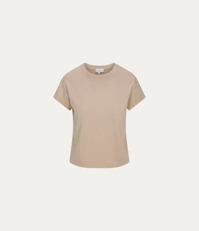 Michael Stars Colleen Classic Crew T-shirt In Brown