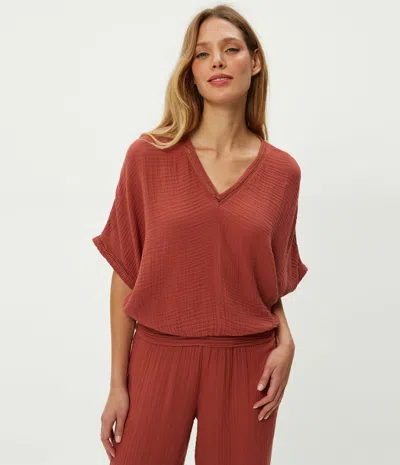Michael Stars Imani Cropped Dolman Sleeve Top In Brown