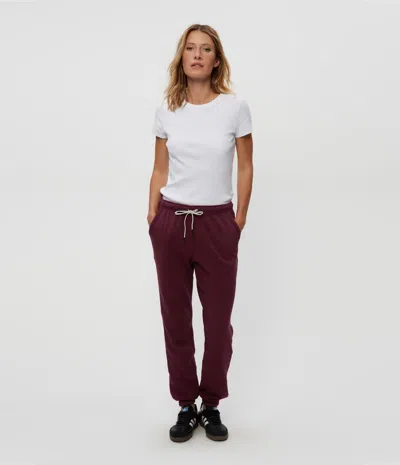 Michael Stars Josie Jogger In Beetroot