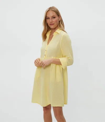 Michael Stars Kimberly Shirt Waist Dress In Lemonade