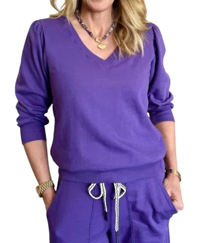 Michael Stars Kit V-neck Sweatshirt In Mulberry In Purple