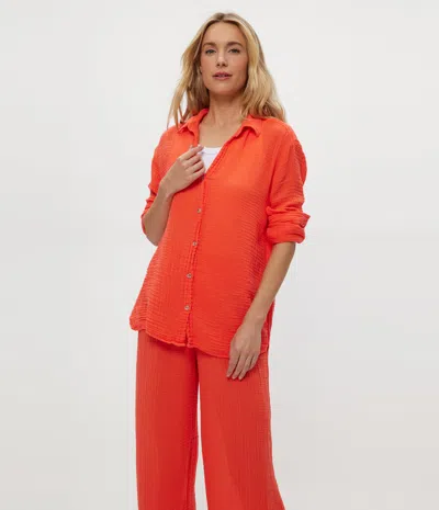 Michael Stars Leo Gauze Button Down Shirt In Orange