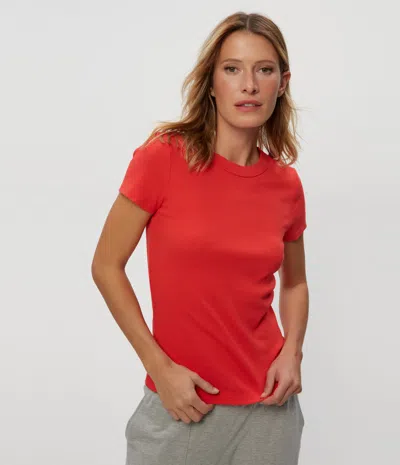 Michael Stars Lexy Tee In Cherry
