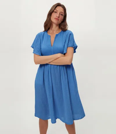 Michael Stars Madeline Flutter Sleeve Dress In Blue
