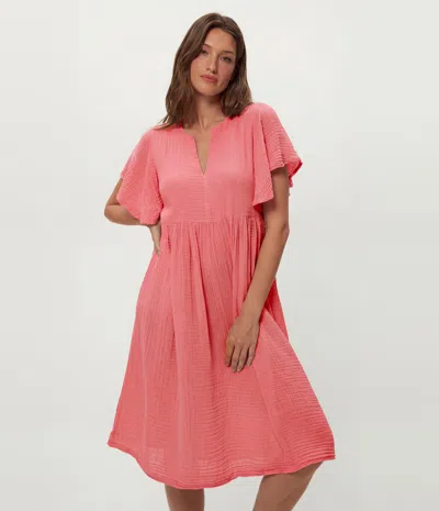 Michael Stars Madeline Flutter Sleeve Dress In Pink