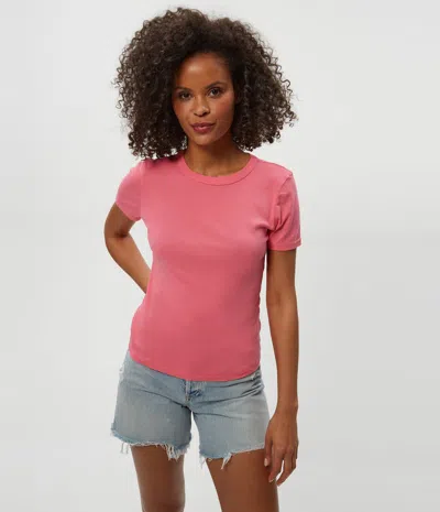 Michael Stars Mady Supima Tee In Pink