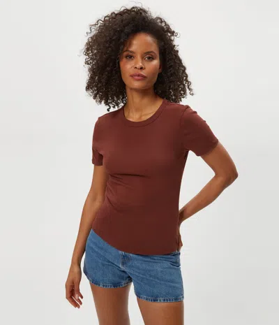 Michael Stars Mady Supima Tee In Brown