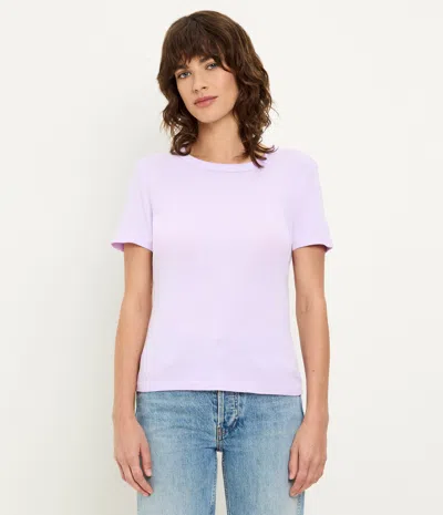 Michael Stars Mady Supima Tee In Brown