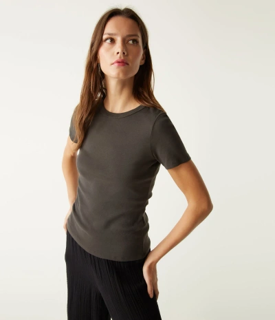 Michael Stars Mady Supima Tee In Oxide