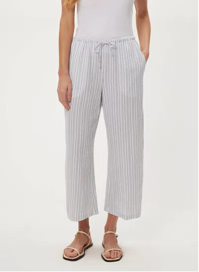 Michael Stars Maris Pull On Ankle Pant In Indigo Stripe In Multi
