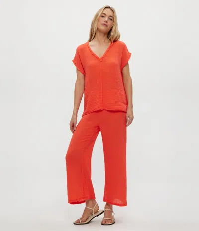 Michael Stars Medina Cropped Gauze Pant In Spritz