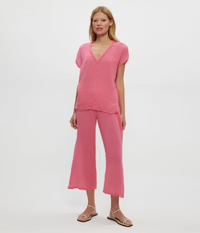 Michael Stars Medina Cropped Gauze Pant In Pink