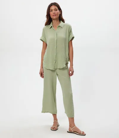 Michael Stars Medina Cropped Gauze Pant In Seac