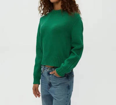 MICHAEL STARS MERLE CREWNECK SWEATER IN PALM