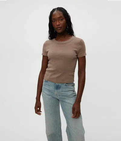 Michael Stars Mimi Cropped Tee In Cobblestone