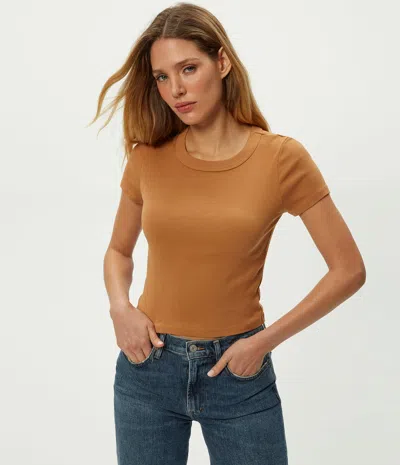 Michael Stars Mimi Cropped Tee In Gold