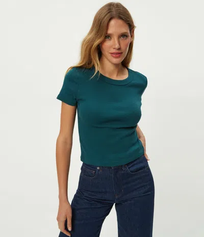 Michael Stars Mimi Cropped Tee In Green