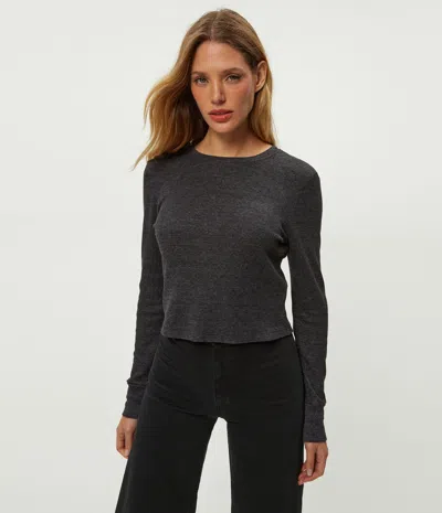 Michael Stars Palmer Cropped Tee In Black