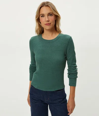 Michael Stars Palmer Cropped Tee In Green