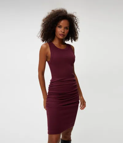 Michael Stars Petite Demi Dress In Beetroot