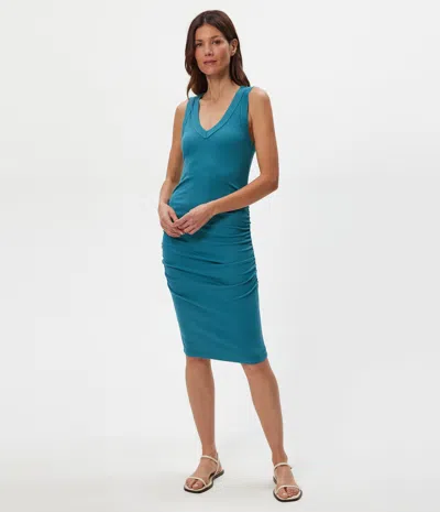 Michael Stars Petite Esme Ribbed Dress In Brown