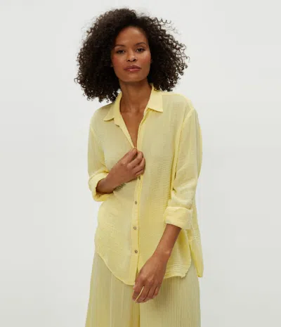 Michael Stars Petite Leo Gauze Button Down Shirt In Lemonade