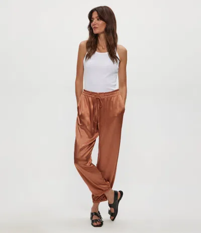 Michael Stars Pixie Jogger Pants In Terra In Multi