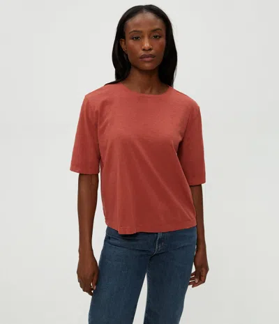 Michael Stars Reid Oversized Crew In Brown
