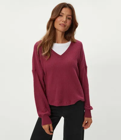 Michael Stars Salma Waffle Stitch V-neck Knit Top In Burgundy