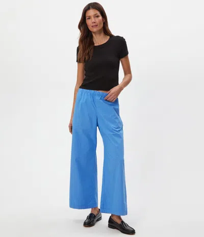Michael Stars Taylor Wide Leg Pant In Blue