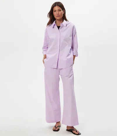 Michael Stars Taylor Wide Leg Pant In Purple