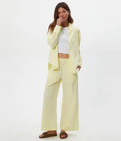 Michael Stars Taylor Wide Leg Pant In Yellow