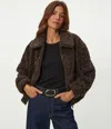 Michael Stars Ziggy Shaggy Faux Shearling Jacket In Brown