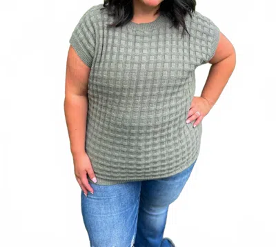 Michelle Mae Kelly Knitted Top In Sage In Transparent