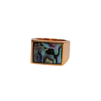 Middle Finger Women's Green / Blue Abalone Stone Signet In Gold