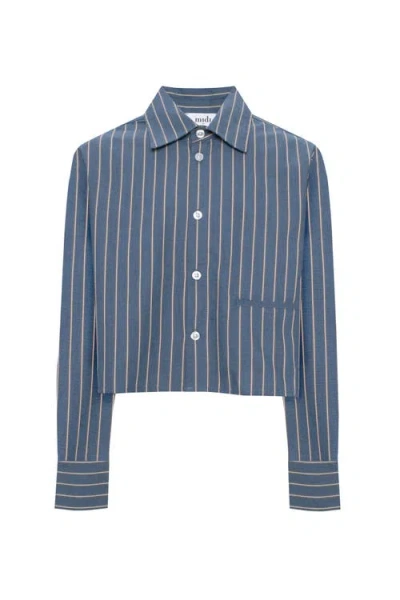 Midi Cropped Striped Button Front Box Pleat Blouse In Blue