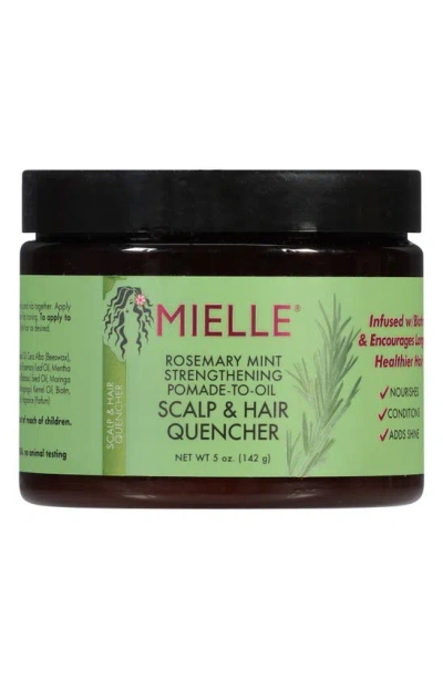 Mielle Rosemary Mint Pomade-to-oil Scalp & Hair Quencher In Black