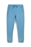 Mightly Organic Cotton Fleece Pocket Joggers In Blue