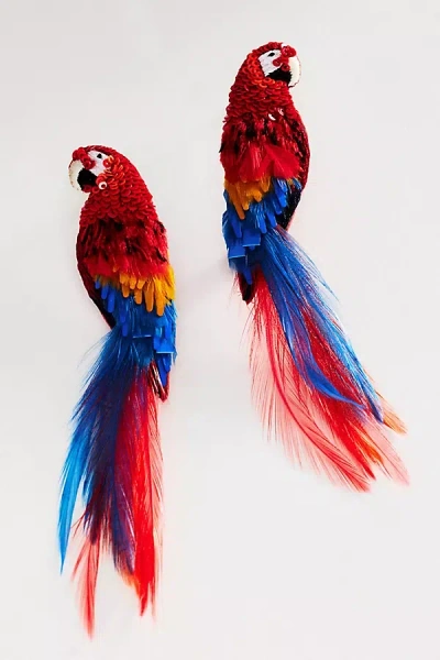Mignonne Gavigan Macaw Bird Earrings In Multi