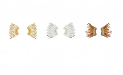Mignonne Gavigan Women's Micro Madeline Gift Set Earrings In Gold Multi