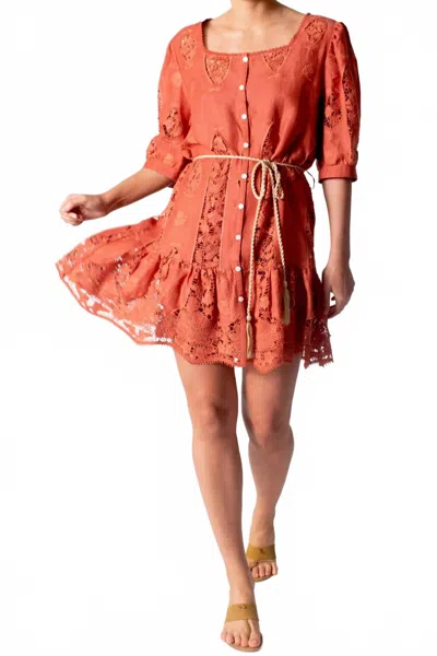 Miguelina Dixie Lotus Embroidery Mini Dress In Rust In Multi