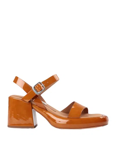 Miista Sandals In Brown
