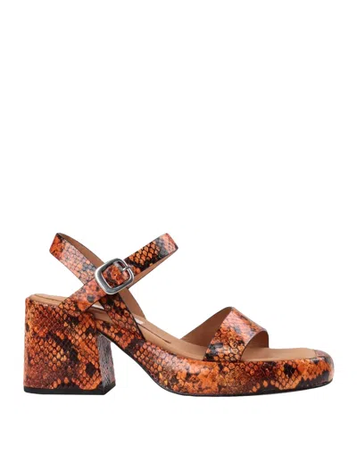 Miista Sandals In Orange
